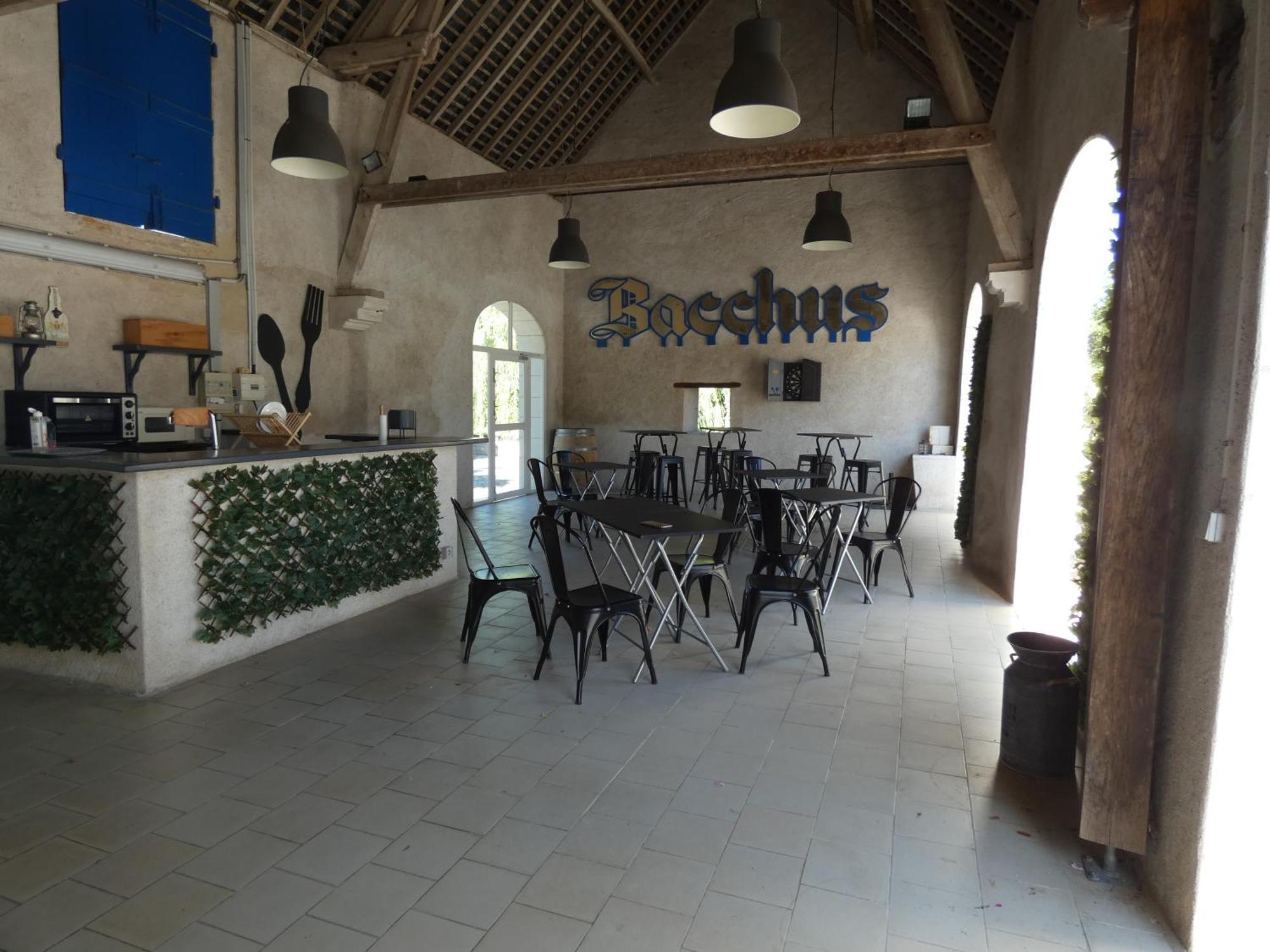 Moulin De Bacchus - Chateaux De La Loire Chançay エクステリア 写真