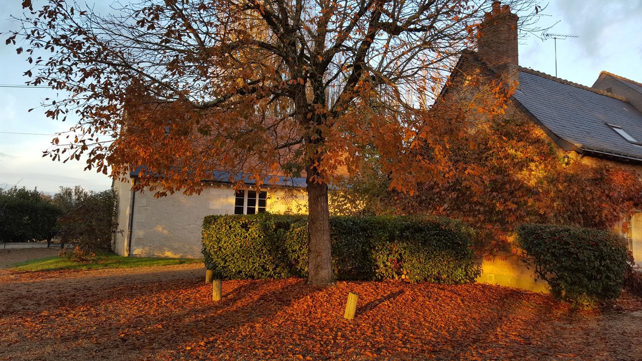 Moulin De Bacchus - Chateaux De La Loire Chançay エクステリア 写真