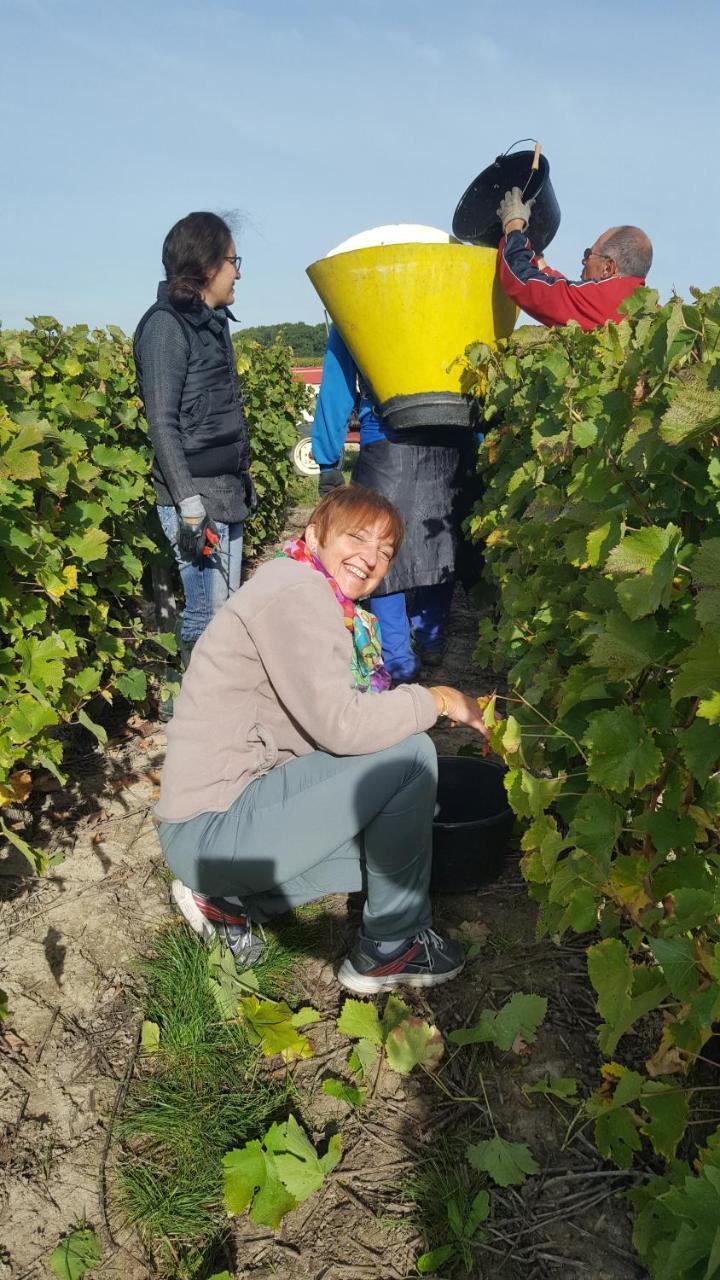 Moulin De Bacchus - Chateaux De La Loire Chançay エクステリア 写真